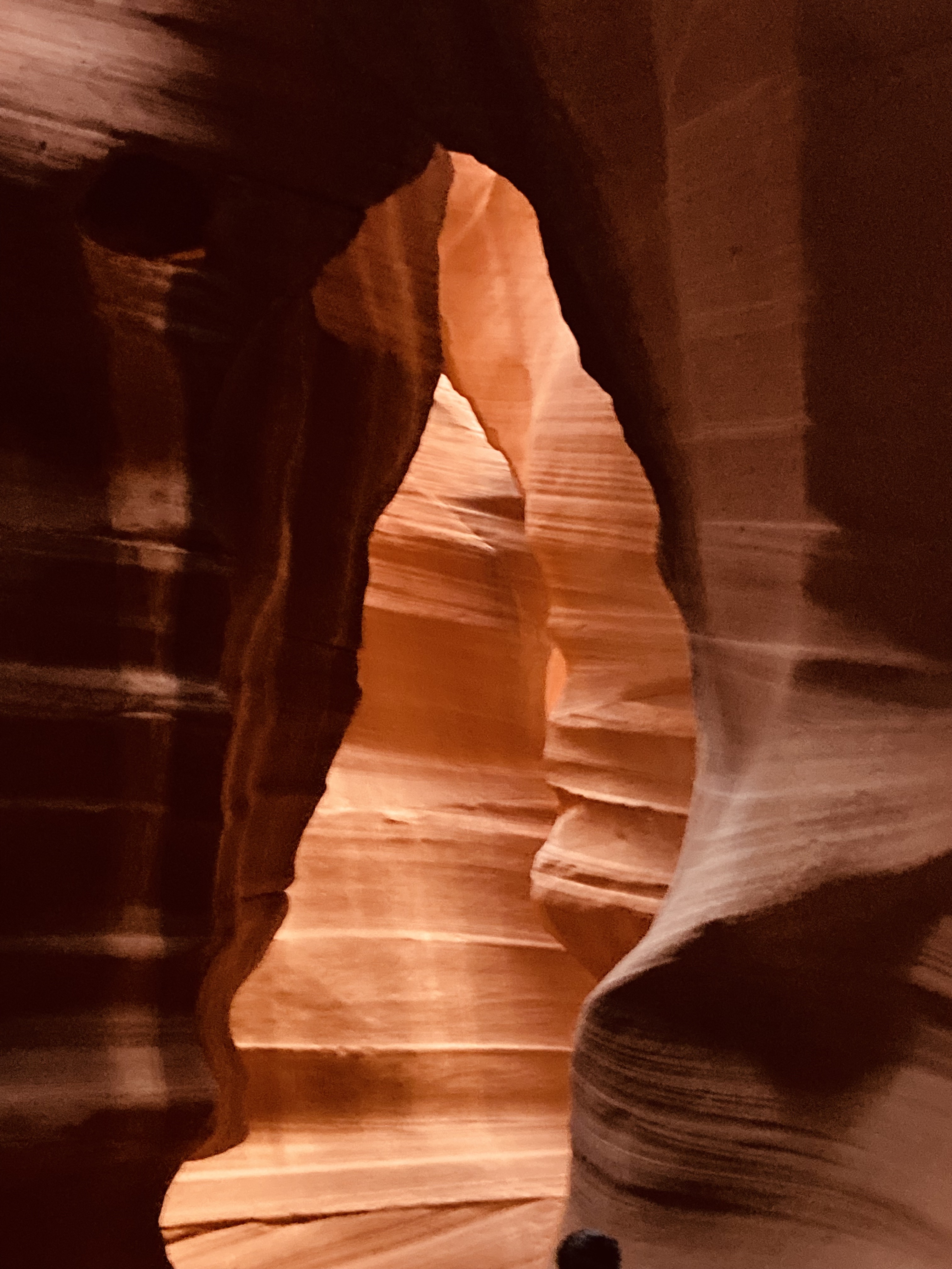 Antelope Canyon Bear