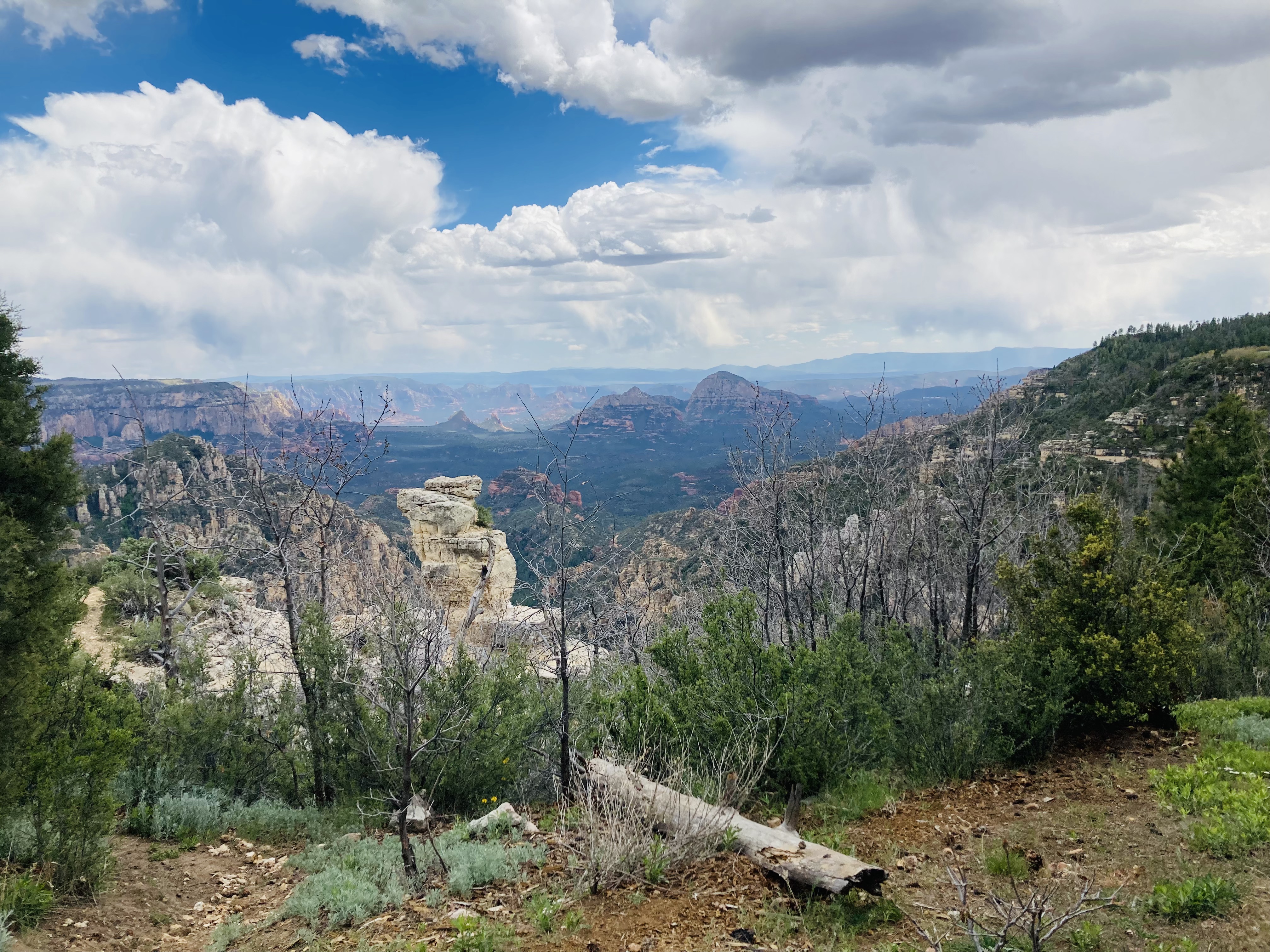 The End of the World