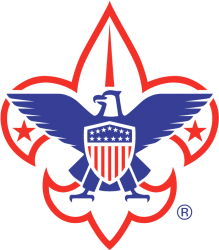 BSA Logo